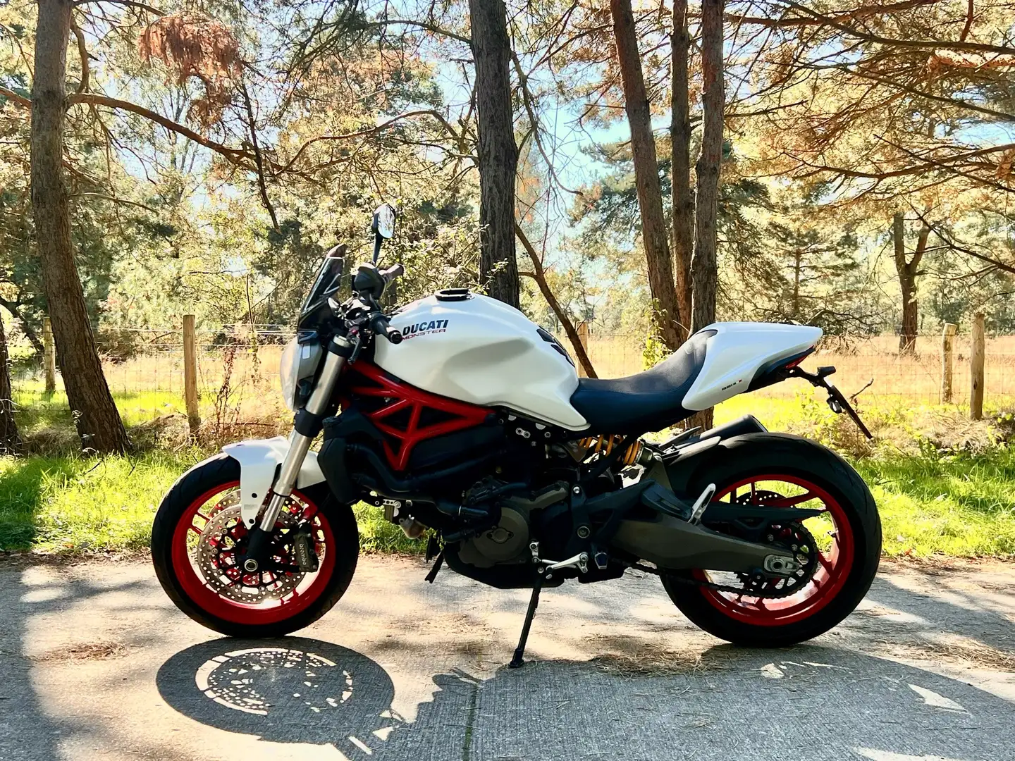 Ducati Monster 821 Alb - 1