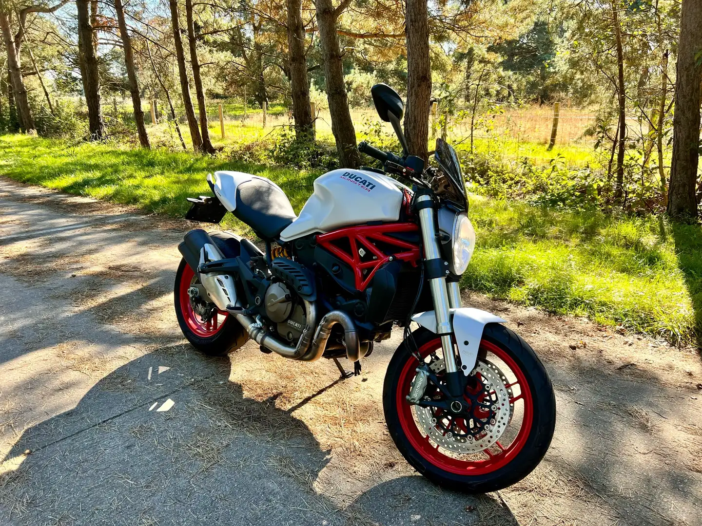 Ducati Monster 821 Alb - 2