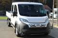 Fiat Ducato Doka Pritsche 140   7 Sitze Klima 7Zoll ... Weiß - thumbnail 1