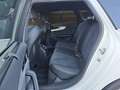 Audi S4 Avant 3.0 TDI quattro Tiptronic Navi LED Gris - thumbnail 11