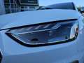 Audi S4 Avant 3.0 TDI quattro Tiptronic Navi LED Gris - thumbnail 12