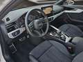 Audi S4 Avant 3.0 TDI quattro Tiptronic Navi LED Gris - thumbnail 7