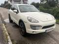 Porsche Cayenne II 3,0 Diesel Aut. - thumbnail 14