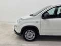 Fiat Panda 1.0 FireFly S&S Hybrid Bianco - thumbnail 9