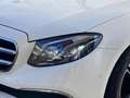 Mercedes-Benz E 400 d 4M Avantgarde*LED*Distronic*Totwinkel*19 Blanc - thumbnail 5