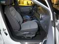 SEAT Arona 1.0 TSI OPF Xperience Navi ACC DAB LM18 Blanco - thumbnail 11