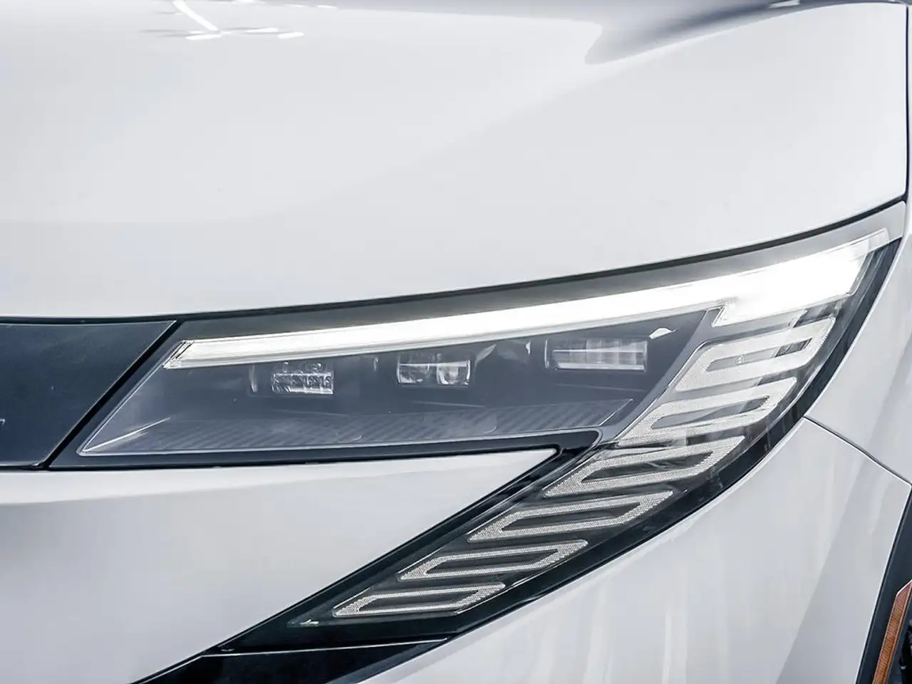Nissan Leaf снимка Nissan Leaf