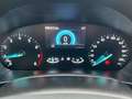 Ford Focus Titanium Gris - thumbnail 12