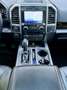 Ford F 150 FORD PLATINUM 4x4|Panorama|Prins LPG|Leer|3.500 AW Blanco - thumbnail 13