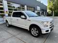Ford F 150 FORD PLATINUM 4x4|Panorama|Prins LPG|Leer|3.500 AW Blanco - thumbnail 3