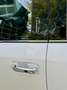 Ford F 150 FORD PLATINUM 4x4|Panorama|Prins LPG|Leer|3.500 AW Blanco - thumbnail 37