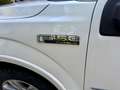 Ford F 150 FORD PLATINUM 4x4|Panorama|Prins LPG|Leer|3.500 AW Blanco - thumbnail 35