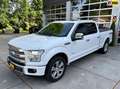 Ford F 150 FORD PLATINUM 4x4|Panorama|Prins LPG|Leer|3.500 AW Blanco - thumbnail 1