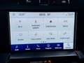 Ford F 150 FORD PLATINUM 4x4|Panorama|Prins LPG|Leer|3.500 AW Blanco - thumbnail 30