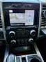 Ford F 150 FORD PLATINUM 4x4|Panorama|Prins LPG|Leer|3.500 AW Blanco - thumbnail 12