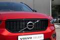 Volvo XC40 T4 Recharge R-Design | Elektrisch panoramisch schu Naranja - thumbnail 14