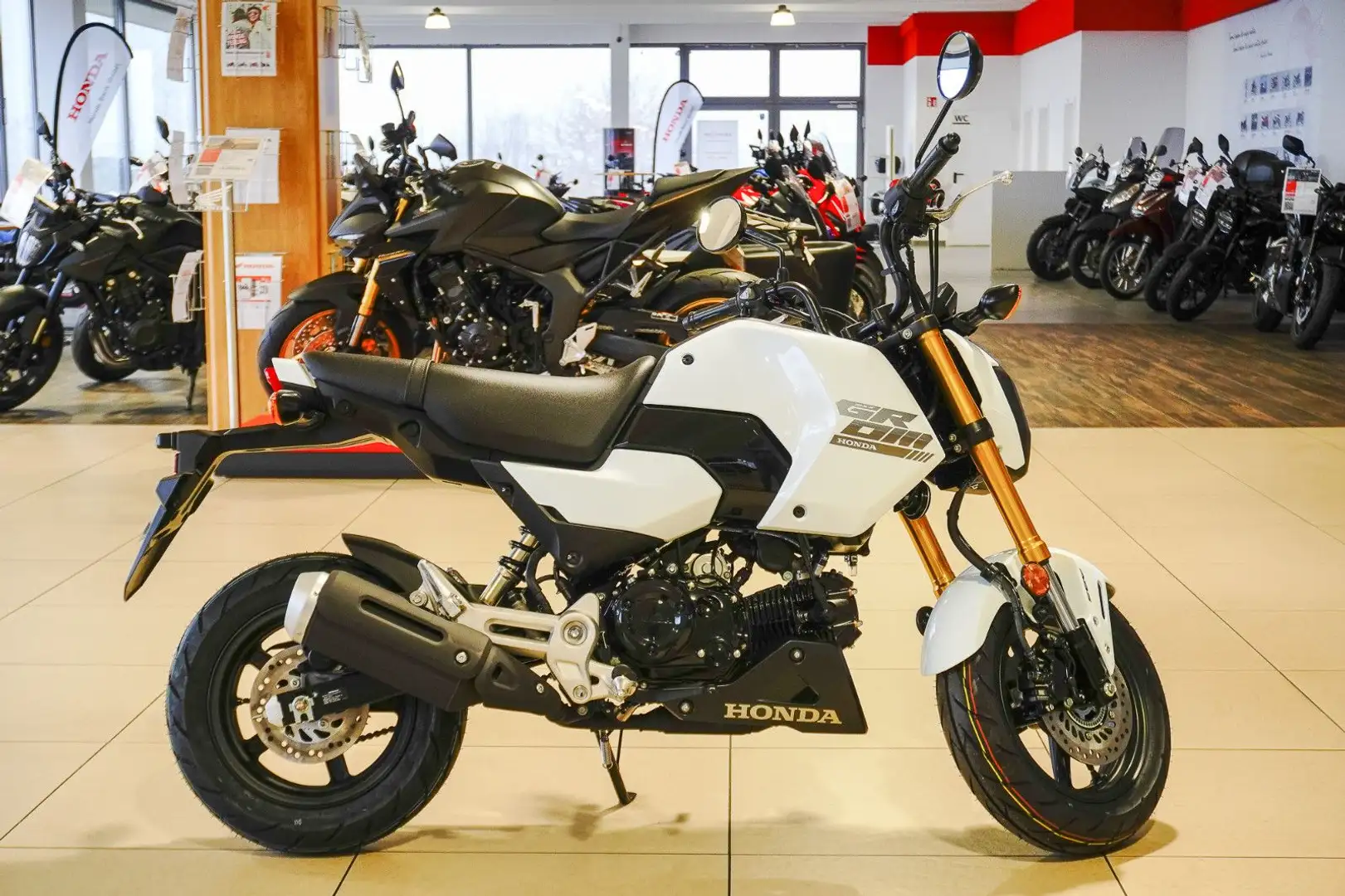 Honda MSX 125 Grom -SOFORT VERFÜGBAR- Alb - 1