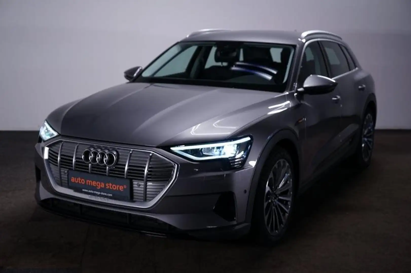 Audi e-tron 95 kWh 55 Quattro ACC/Kamera/KeyLess/SHZ Grau - 1