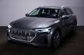 Audi e-tron 95 kWh 55 Quattro ACC/Kamera/KeyLess/SHZ Grey - thumbnail 1