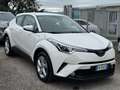 Toyota C-HR C-HR I 2016 1.8h Business 2wd e-cvt Blanc - thumbnail 3