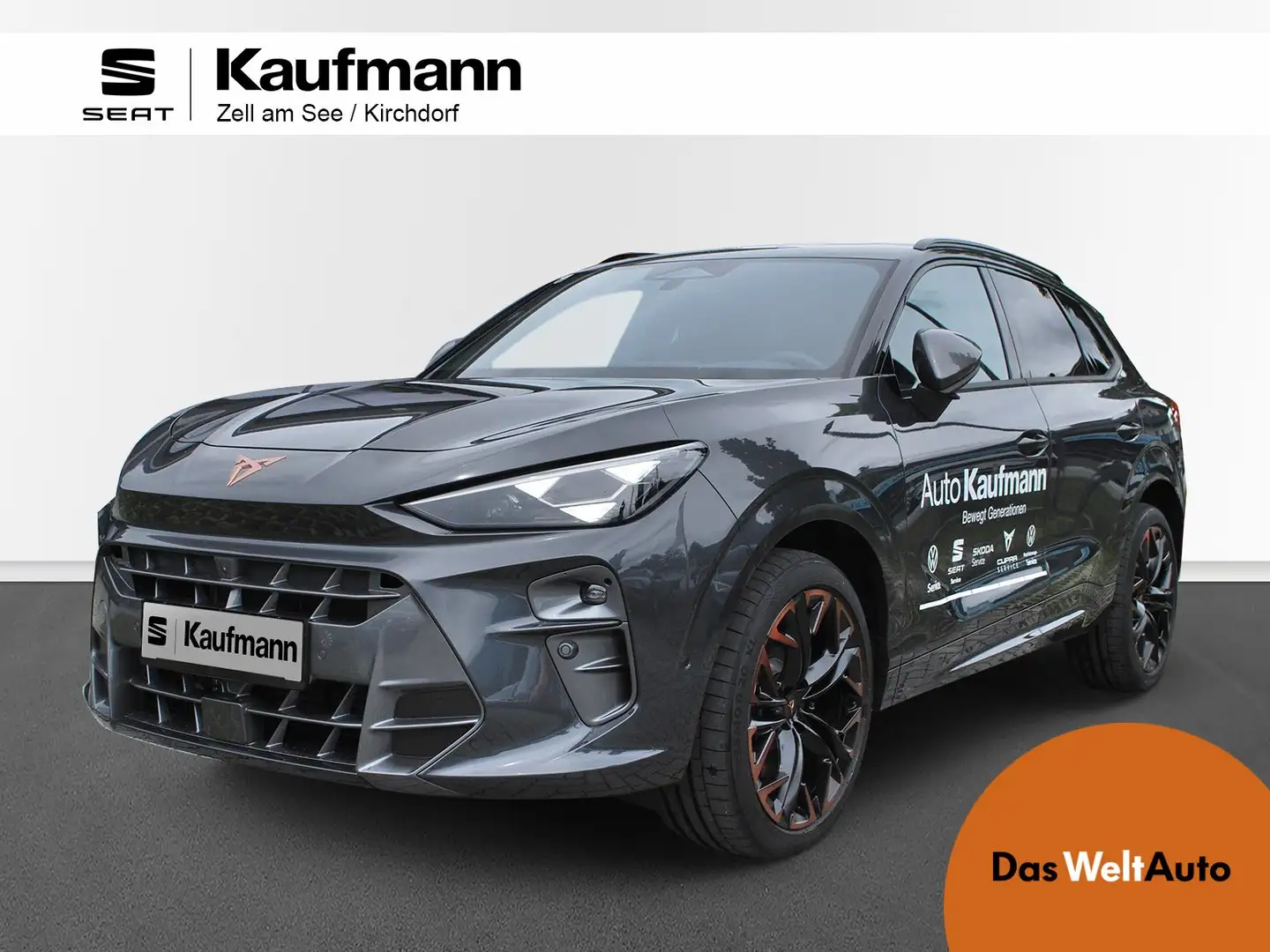 CUPRA Terramar VZ 2.0 TSI 265 PS DSG 4Drive Grijs - 1
