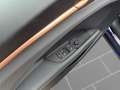 CUPRA Terramar 1.5 eTSI DSG LED NAVI 360° ACC HuD KESS Blau - thumbnail 13