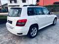Mercedes-Benz GLK 220 GLK - X204 cdi be Sport 4matic auto Bianco - thumbnail 7