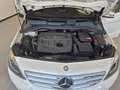 Mercedes-Benz B 180 Classe B - T246 cdi Premium Blanc - thumbnail 28