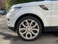 Land Rover Range Rover Sport Range Rover Sport 3.0SDV6 HSE Aut. HSE Blanco - thumbnail 7