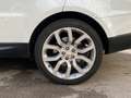 Land Rover Range Rover Sport Range Rover Sport 3.0SDV6 HSE Aut. HSE Blanco - thumbnail 8