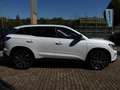 Renault Austral E-Tech Full Hybrid 200 Iconic Weiß - thumbnail 3