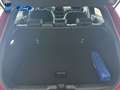 Ford Puma 1.0 EcoBoost MHEV Titanium 125 Rojo - thumbnail 14