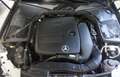 Mercedes-Benz C 300 COUPE" AMG LINE PACK NIGHT 260CV TELECAM POST Grigio - thumbnail 14