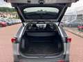 Toyota RAV 4 RAV4 2.5 Hybrid Team D 4x2 SHZ KLIMA Silber - thumbnail 10