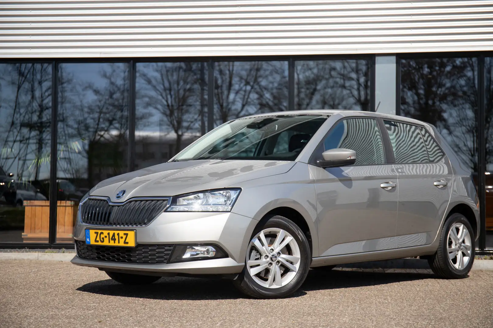 Skoda Fabia 1.0 TSI 110pk Ambition DSG | Navi by App | Stoelve Gris - 1