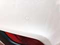 Kia Carens 1.6 GDi Drive 135 Blanco - thumbnail 7