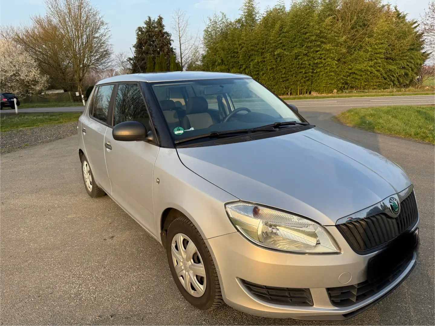 Skoda Fabia Special Grau - 2