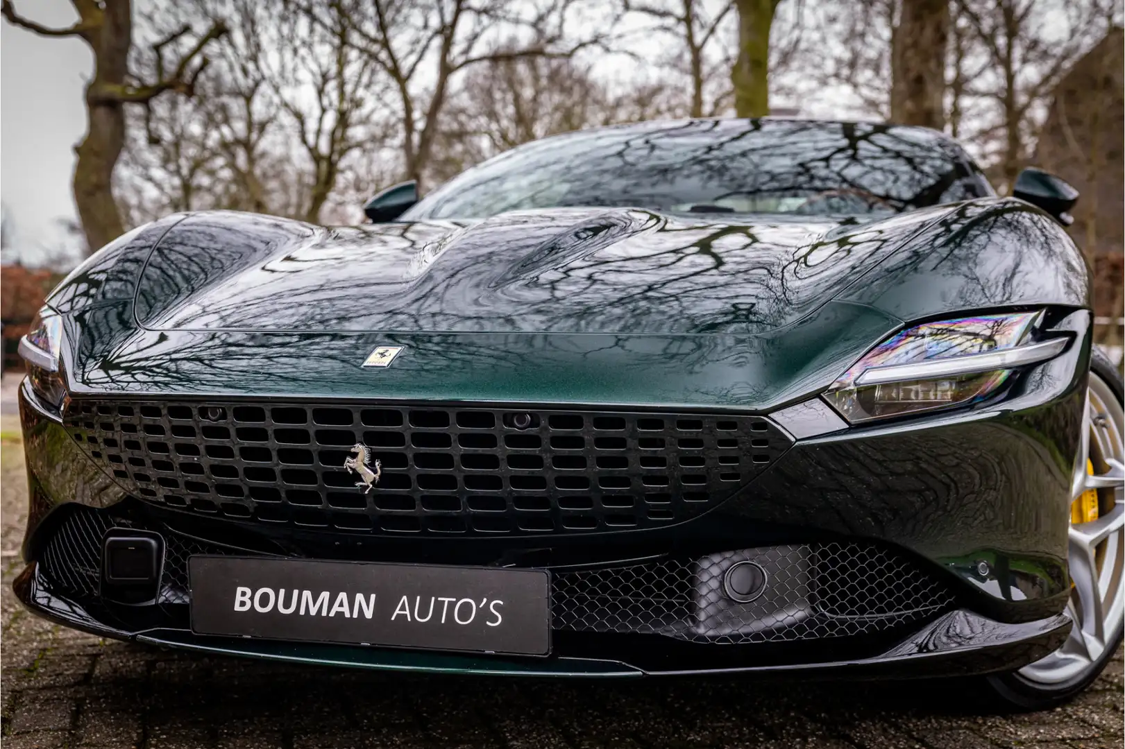 Ferrari Roma 3.9 V8 HELE Verde Zeltweg Magneride Full Adas Pass Vert - 2