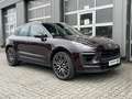 Porsche Macan S-Luftfederung-Lederpaket-AHZ-ACC Rojo - thumbnail 7