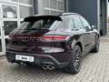 Porsche Macan S-Luftfederung-Lederpaket-AHZ-ACC Rojo - thumbnail 5