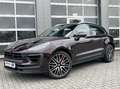 Porsche Macan S-Luftfederung-Lederpaket-AHZ-ACC Rojo - thumbnail 1