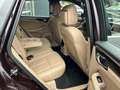 Porsche Macan S-Luftfederung-Lederpaket-AHZ-ACC Rojo - thumbnail 17
