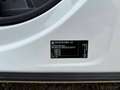 Volkswagen Sharan Sharan 20 Jahre Edition SCR 2,0 TDI Business Weiß - thumbnail 13