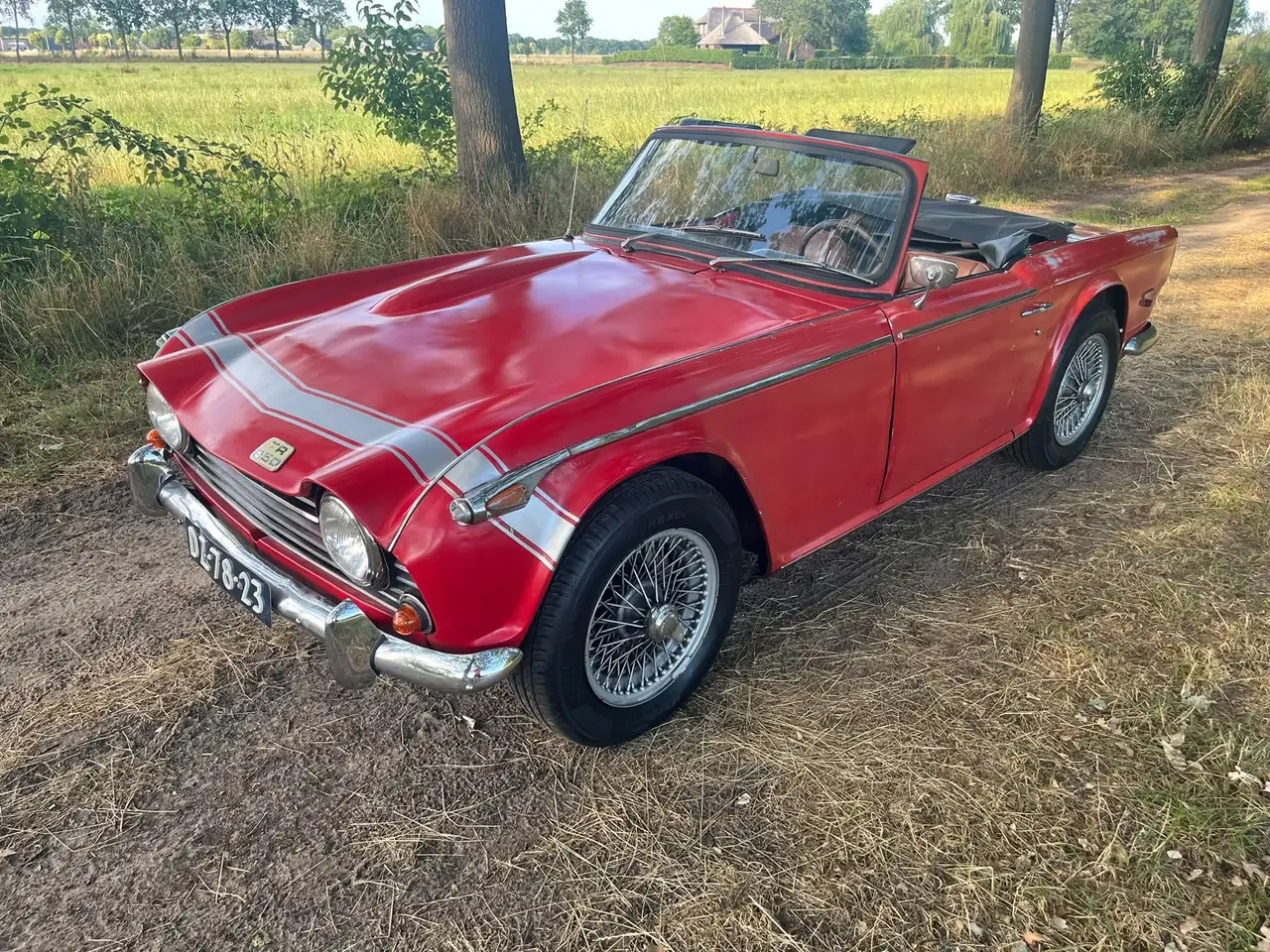 Triumph TR250 Gereviseerde motor, foto 2