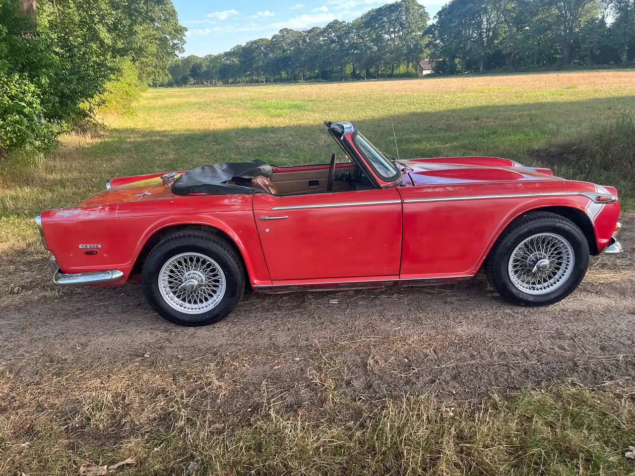 Triumph TR250 Gereviseerde motor, foto 7