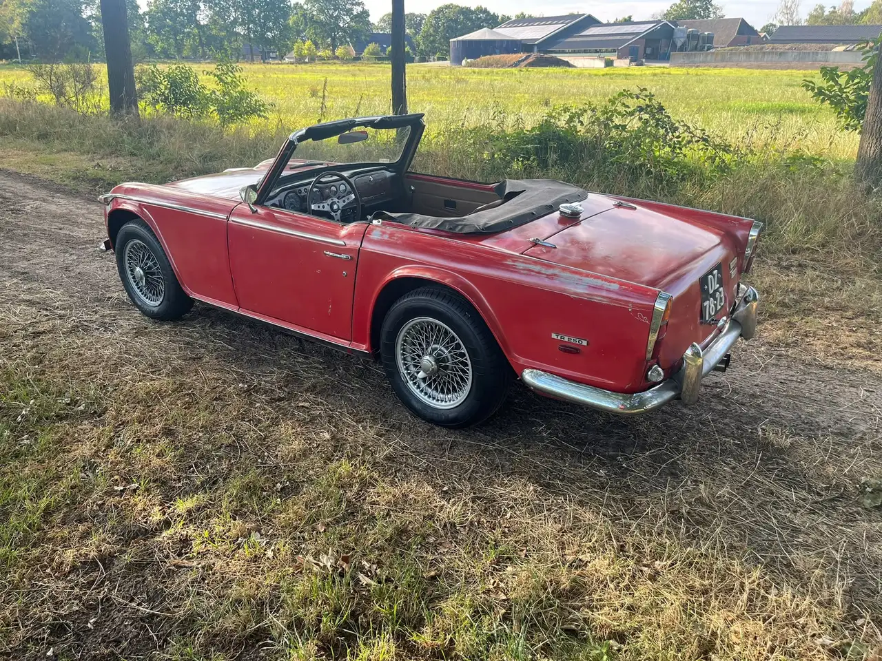 Triumph TR250 Gereviseerde motor, foto 3