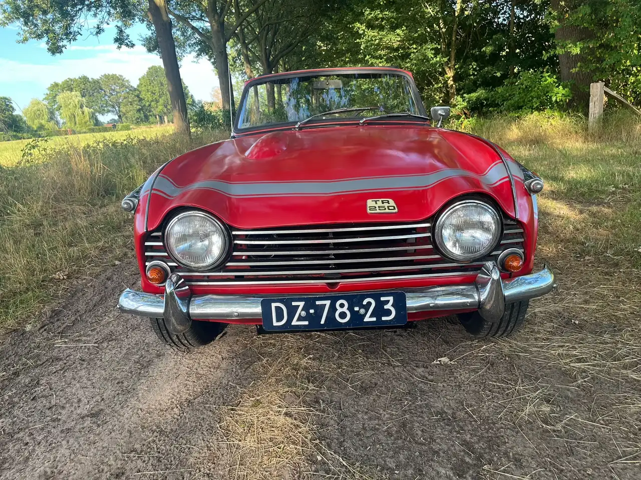 Triumph TR250 Gereviseerde motor, foto 11