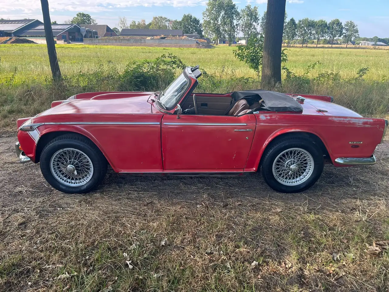 Triumph TR250 Gereviseerde motor, foto 6