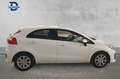 Kia Rio 1.2 CVVT Concept - thumbnail 14