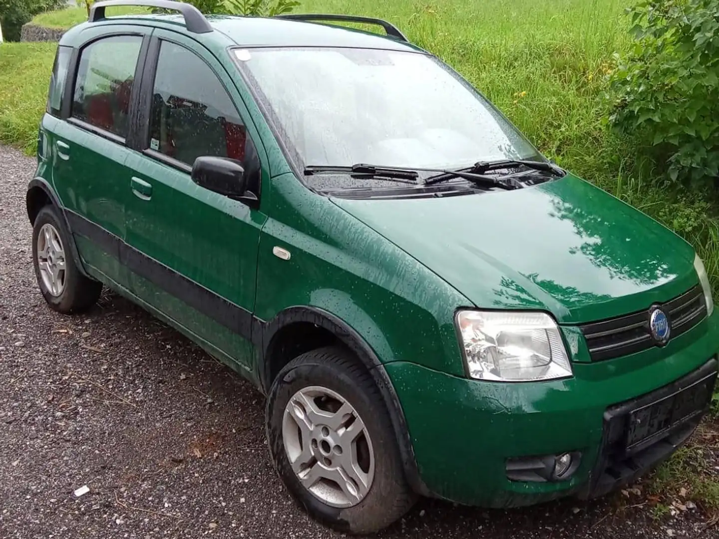 Fiat Panda 1.2 8V Climbing 4X4 Grün - 1